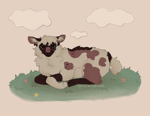 oc belongs to sxafido