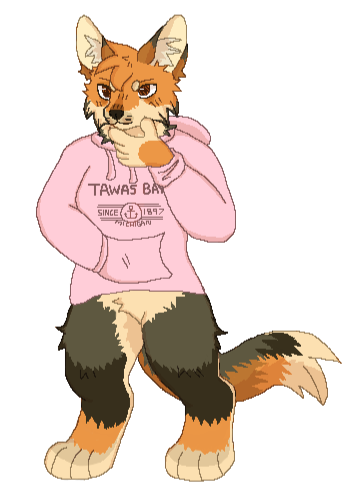 oc belongs to floatzel