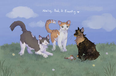 oc belongs to floatzel